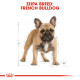 ROYAL CANIN FRENCH BULLDOG