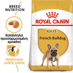 ROYAL CANIN FRENCH BULLDOG