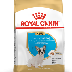ROYAL CANIN FRENCH BULLDOG PUPPY