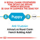 ROYAL CANIN FRENCH BULLDOG PUPPY