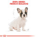 ROYAL CANIN FRENCH BULLDOG PUPPY
