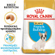 ROYAL CANIN FRENCH BULLDOG PUPPY