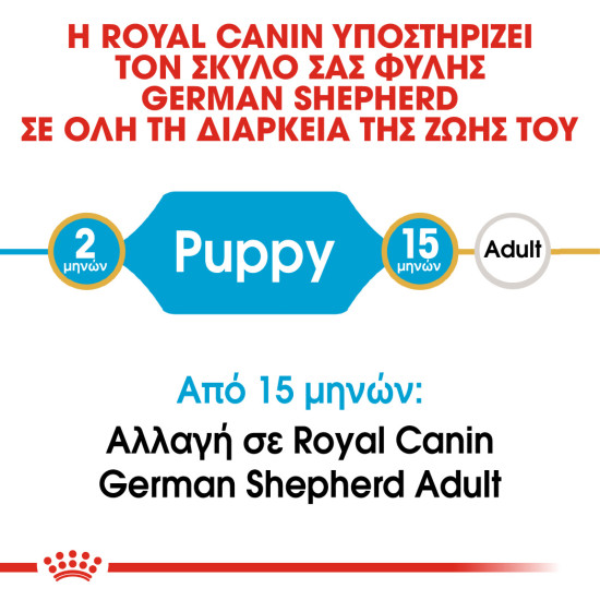 ROYAL CANIN GERMAN SHEPHERD PUPPY ROYAL CANIN GERMAN SHEPHERD PUPPY