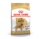 ROYAL CANIN GOLDEN RETRIEVER
