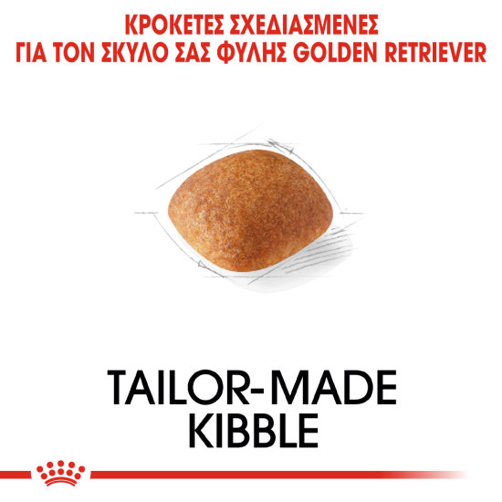 ROYAL CANIN GOLDEN RETRIEVER