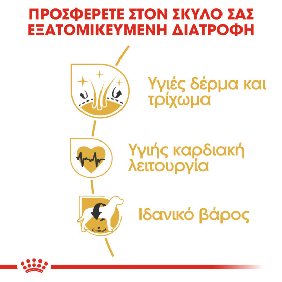 ROYAL CANIN GOLDEN RETRIEVER
