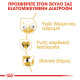 ROYAL CANIN GOLDEN RETRIEVER