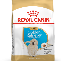 ROYAL CANIN GOLDEN RETRIEVER PUPPY