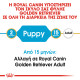 ROYAL CANIN GOLDEN RETRIEVER PUPPY