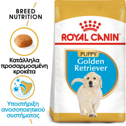 ROYAL CANIN GOLDEN RETRIEVER PUPPY