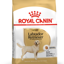 ROYAL CANIN LABRADOR ADULT