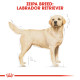 ROYAL CANIN LABRADOR ADULT ROYAL CANIN LABRADOR ADULT