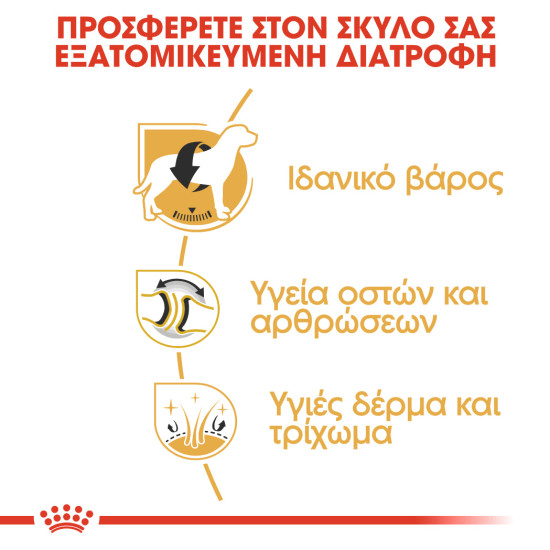 ROYAL CANIN LABRADOR ADULT ROYAL CANIN LABRADOR ADULT