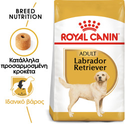 ROYAL CANIN LABRADOR ADULT