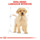 ROYAL CANIN LABRADOR PUPPY
