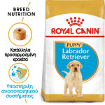 ROYAL CANIN LABRADOR PUPPY