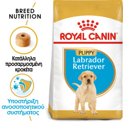 ROYAL CANIN LABRADOR PUPPY