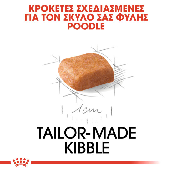 ROYAL CANIN POODLE PUPPY