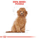 ROYAL CANIN POODLE PUPPY