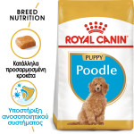 ROYAL CANIN POODLE PUPPY