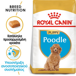 ROYAL CANIN POODLE PUPPY