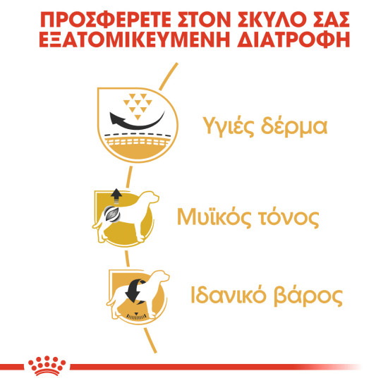 ROYAL CANIN PUG