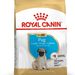 ROYAL CANIN PUG PUPPY
