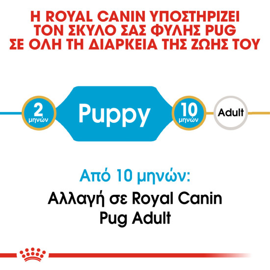ROYAL CANIN PUG PUPPY