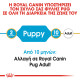 ROYAL CANIN PUG PUPPY