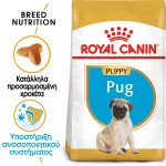ROYAL CANIN PUG PUPPY