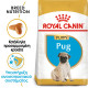 ROYAL CANIN PUG PUPPY