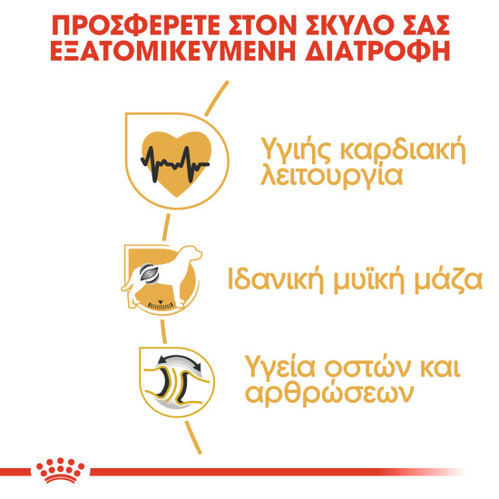 ROYAL CANIN ROTTWEILER