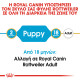 ROYAL CANIN ROTTWEILER PUPPY