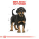 ROYAL CANIN ROTTWEILER PUPPY