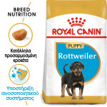 ROYAL CANIN ROTTWEILER PUPPY