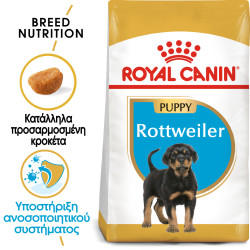 ROYAL CANIN ROTTWEILER PUPPY