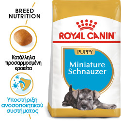ROYAL CANIN SCHNAUZER PUPPY