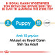 ROYAL CANIN SHIH TZU PUPPY