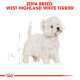 ROYAL CANIN WESTIE