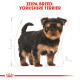 ROYAL CANIN YORKSHIRE PUPPY