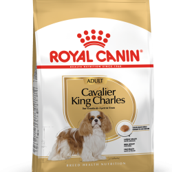 ROYAL CANIN CAVALIER KING CHARLES