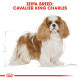 ROYAL CANIN CAVALIER KING CHARLES ROYAL CANIN CAVALIER KING CHARLES
