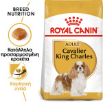 ROYAL CANIN CAVALIER KING CHARLES
