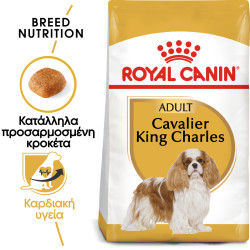 ROYAL CANIN CAVALIER KING CHARLES