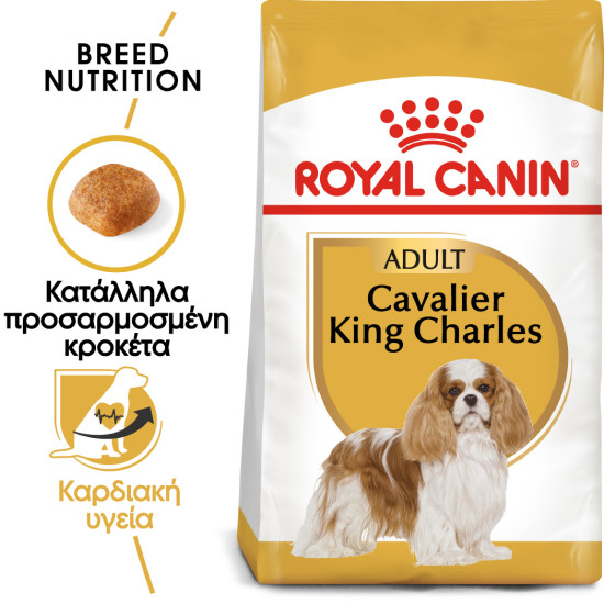ROYAL CANIN CAVALIER KING CHARLES ROYAL CANIN CAVALIER KING CHARLES