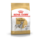 ROYAL CANIN DALMATIAN