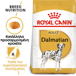 ROYAL CANIN DALMATIAN