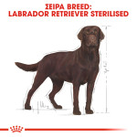 ROYAL CANIN LABRADOR STERILIZED ADULT