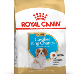 ROYAL CANIN CAVALIER KING CHARLES PUPPY
