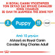 ROYAL CANIN CAVALIER KING CHARLES PUPPY